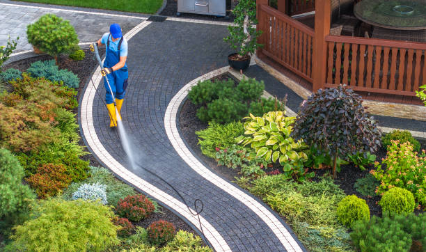 Best Power Washing Near Me  in Erma, NJ